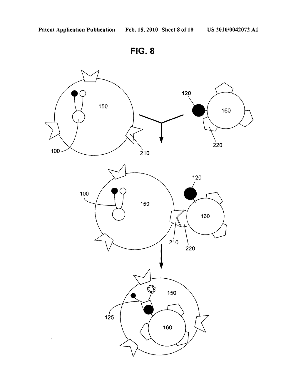 Biological targeting compositions and methods of using the same - diagram, schematic, and image 09