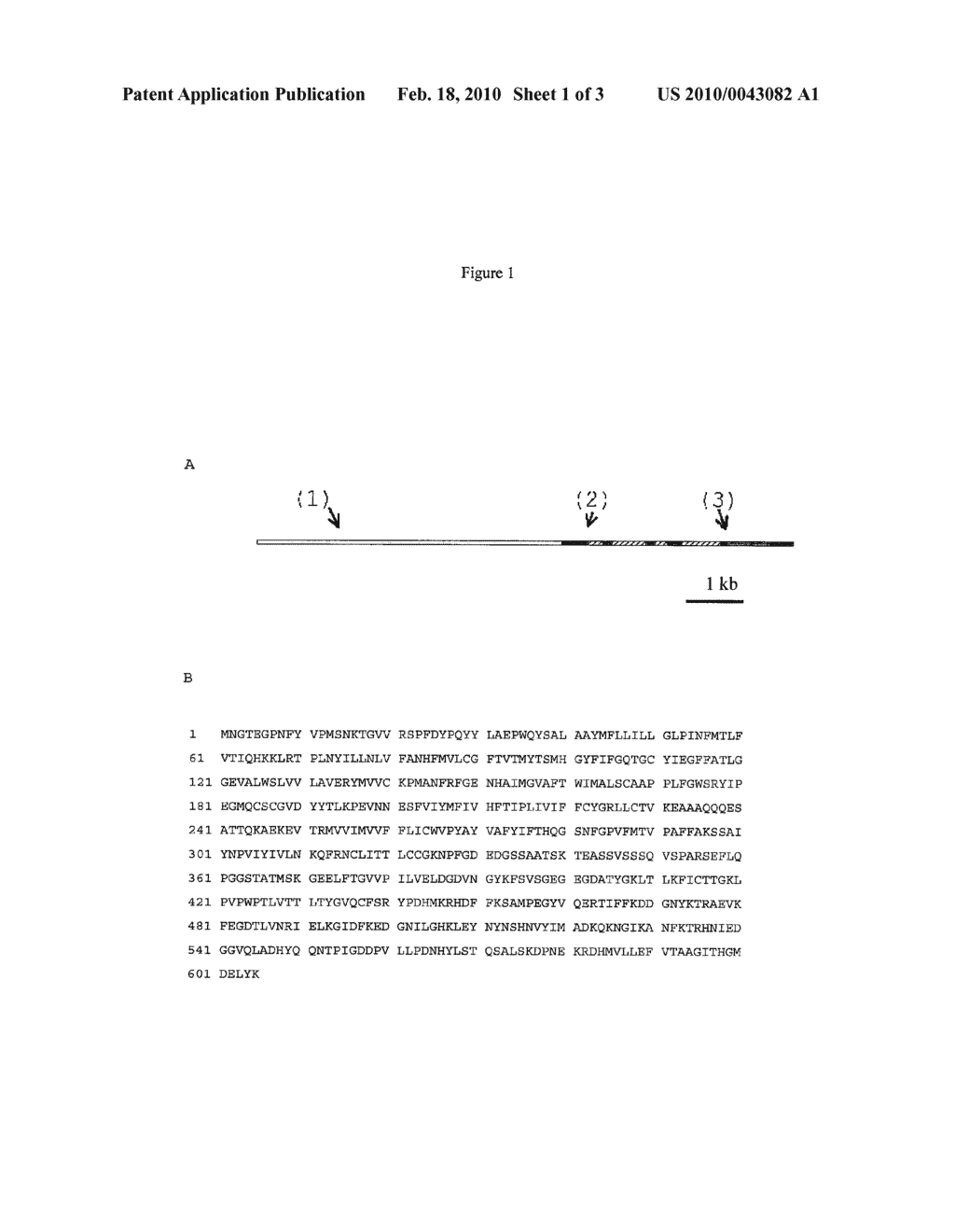 Transgenic Frog Lines and Assays Employing Them - diagram, schematic, and image 02