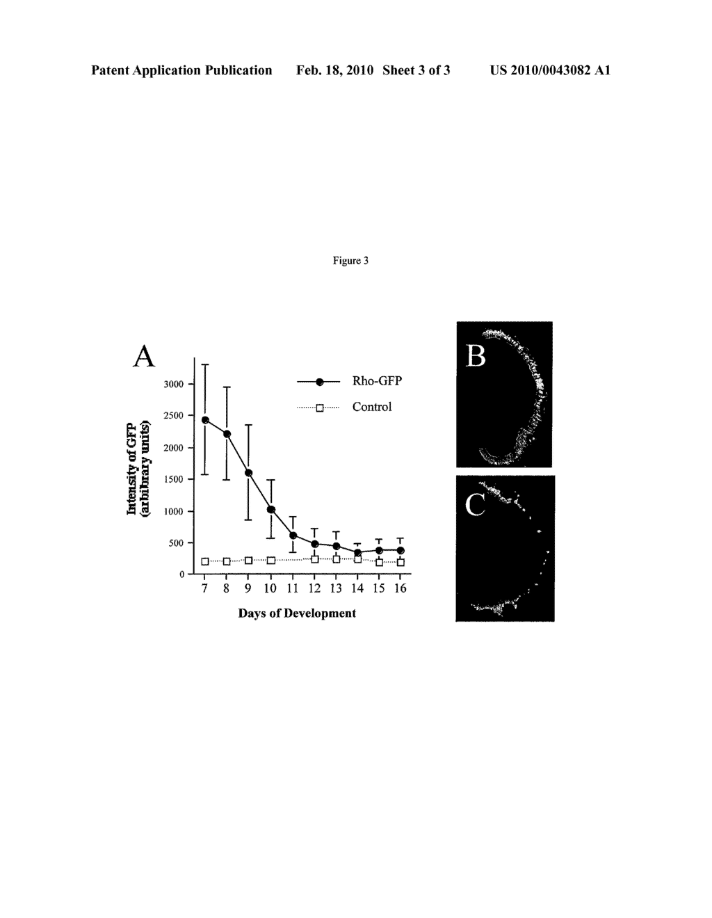 Transgenic Frog Lines and Assays Employing Them - diagram, schematic, and image 04