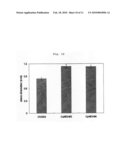 The Method for Enhancement of Photosynthesis and Biomass of Plant by Plastid Transformation of Malate Dehydrogenase diagram and image