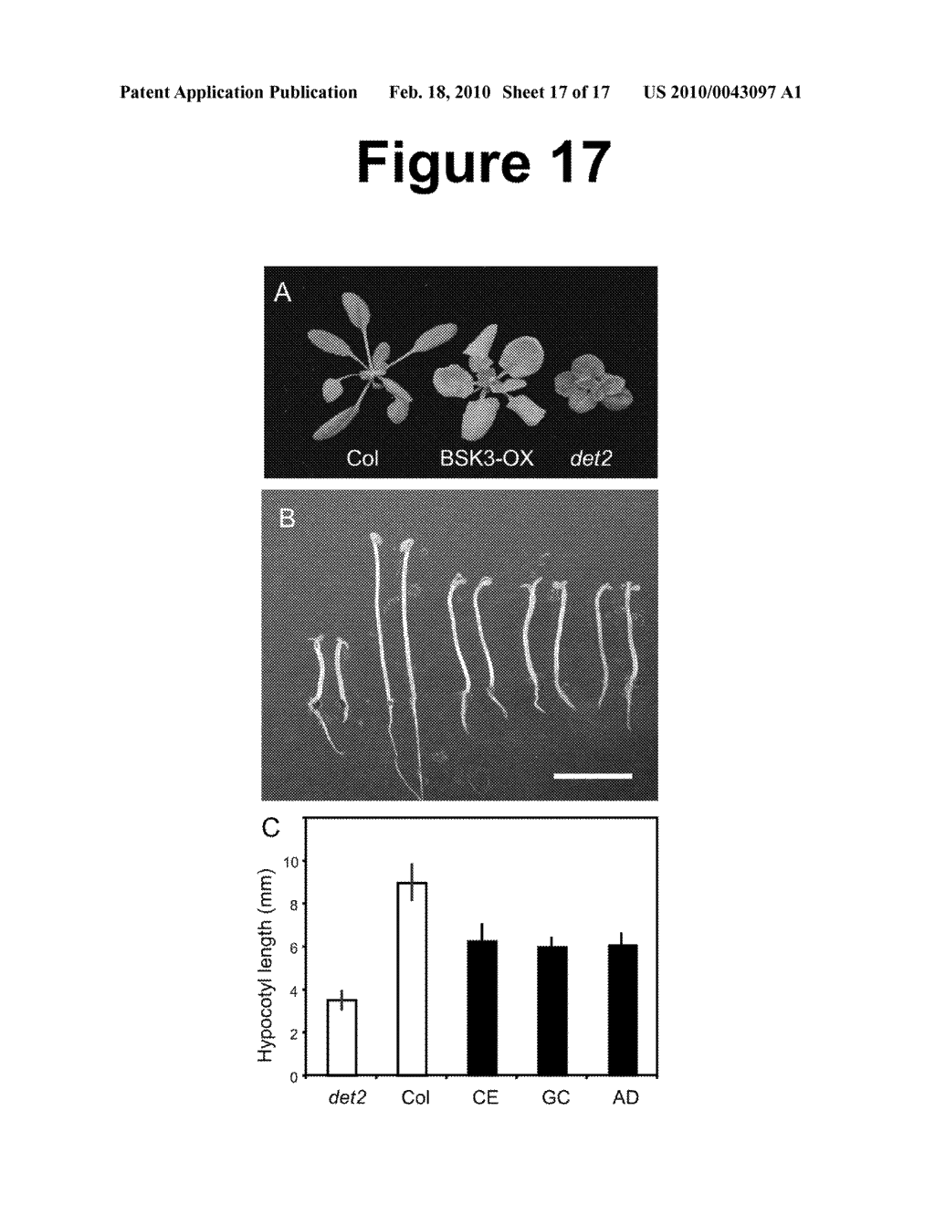 Brassinosteroid Regulated Kinases (BRKs) That Mediate Brassinosteroid Signal Transduction and Uses Thereof - diagram, schematic, and image 18