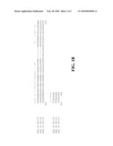 PLANT RAFFINOSE SACCHARIDE BIOSYNTHETIC ENZYMES diagram and image