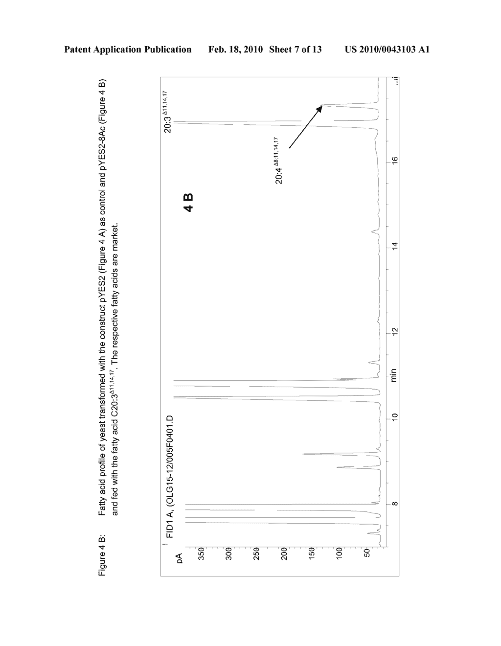 Process for the Production of Arachidonic Acid and/or Eicosapentaenoic Acid - diagram, schematic, and image 08