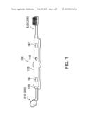 SYSTEM TOOTHBRUSH WITH ILLUMINATION diagram and image