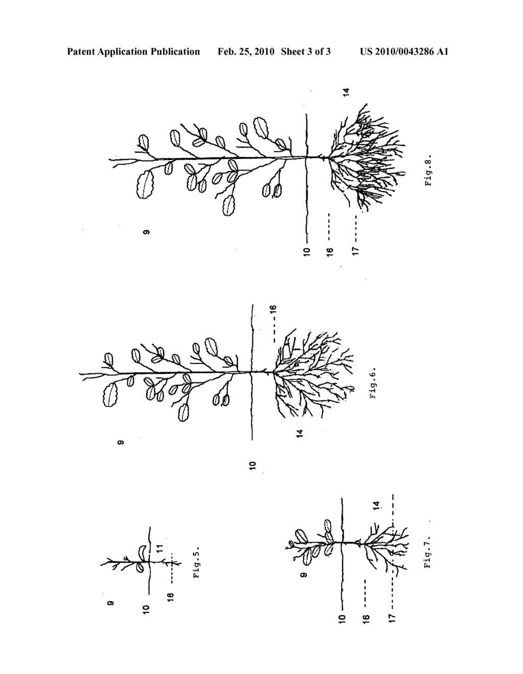 METHOD AND DEVICE FOR PRODUCING ANNUAL REPRODUCTION MATERIAL FOR TREE NURSERIES, AS YOUNG ROOTS FOR IMMEDIATE PLANTING - diagram, schematic, and image 04