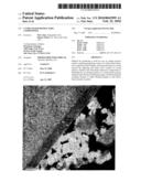 YTTRIA-BASED REFRACTORY COMPOSITION diagram and image