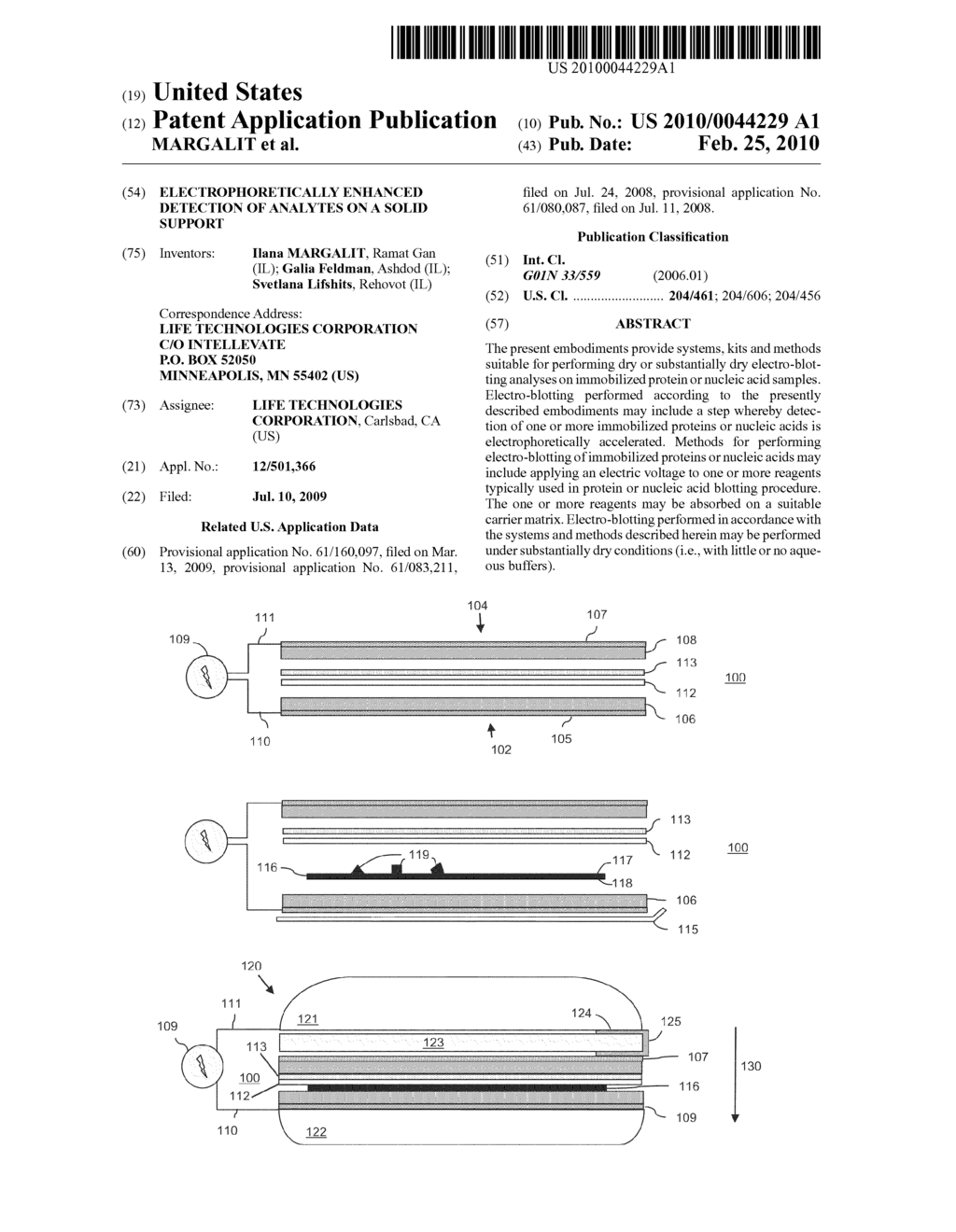 Electrophoretically Enhanced Detection of Analytes on a Solid Support - diagram, schematic, and image 01