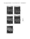 METHODS FOR SEPARATING CARBON NANOTUBES diagram and image