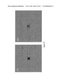 METHODS FOR SEPARATING CARBON NANOTUBES diagram and image