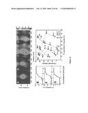 METHODS FOR SEPARATING CARBON NANOTUBES diagram and image