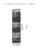 METHODS FOR SEPARATING CARBON NANOTUBES diagram and image