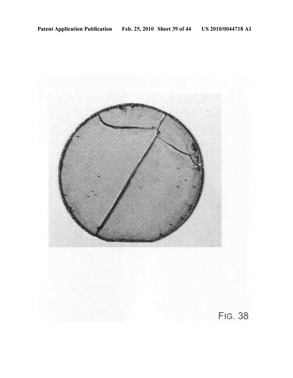 Group III Nitride Articles and Methods for Making Same - diagram, schematic, and image 40