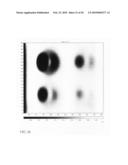 Magnetic field characterization of stresses and properties in materials diagram and image