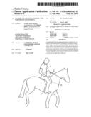 Method and apparatus for real time performance assessment diagram and image