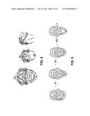 PERFORMANCE DRIVEN FACIAL ANIMATION diagram and image