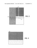 EXTERNAL FLUID MANIFOLD WITH POLYMER COMPLIANT WALL diagram and image