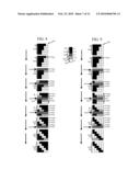 METHOD AND SYSTEM FOR GENERATING A SYMBOL IDENTIFICATION CHALLENGE diagram and image