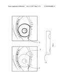 SALTING SYSTEM AND METHOD FOR CANCELABLE IRIS BIOMETRIC diagram and image