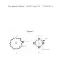 Synthetic LDL as Targeted Drug Delivery Vehicle diagram and image