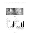 METHOD FOR DIAGNOSIS OF CHRONIC ALLOGRAFT REJECTION diagram and image