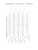 ANTIBODIES AND RELATED MOLECULES THAT BIND TO 58P1D12 PROTEINS diagram and image