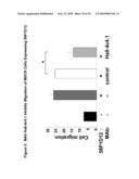 ANTIBODIES AND RELATED MOLECULES THAT BIND TO 58P1D12 PROTEINS diagram and image