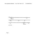 Construction of oncolytic adenovirus recombinant specifically expressing immune modulatory factor gm-csf in tumor cells and uses thereof diagram and image