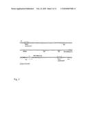 Construction of oncolytic adenovirus recombinant specifically expressing immune modulatory factor gm-csf in tumor cells and uses thereof diagram and image