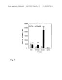 Construction of oncolytic adenovirus recombinant specifically expressing immune modulatory factor gm-csf in tumor cells and uses thereof diagram and image