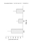 Methods and Compositions for Treatment of Bone Defects with Placental Cell Populations diagram and image