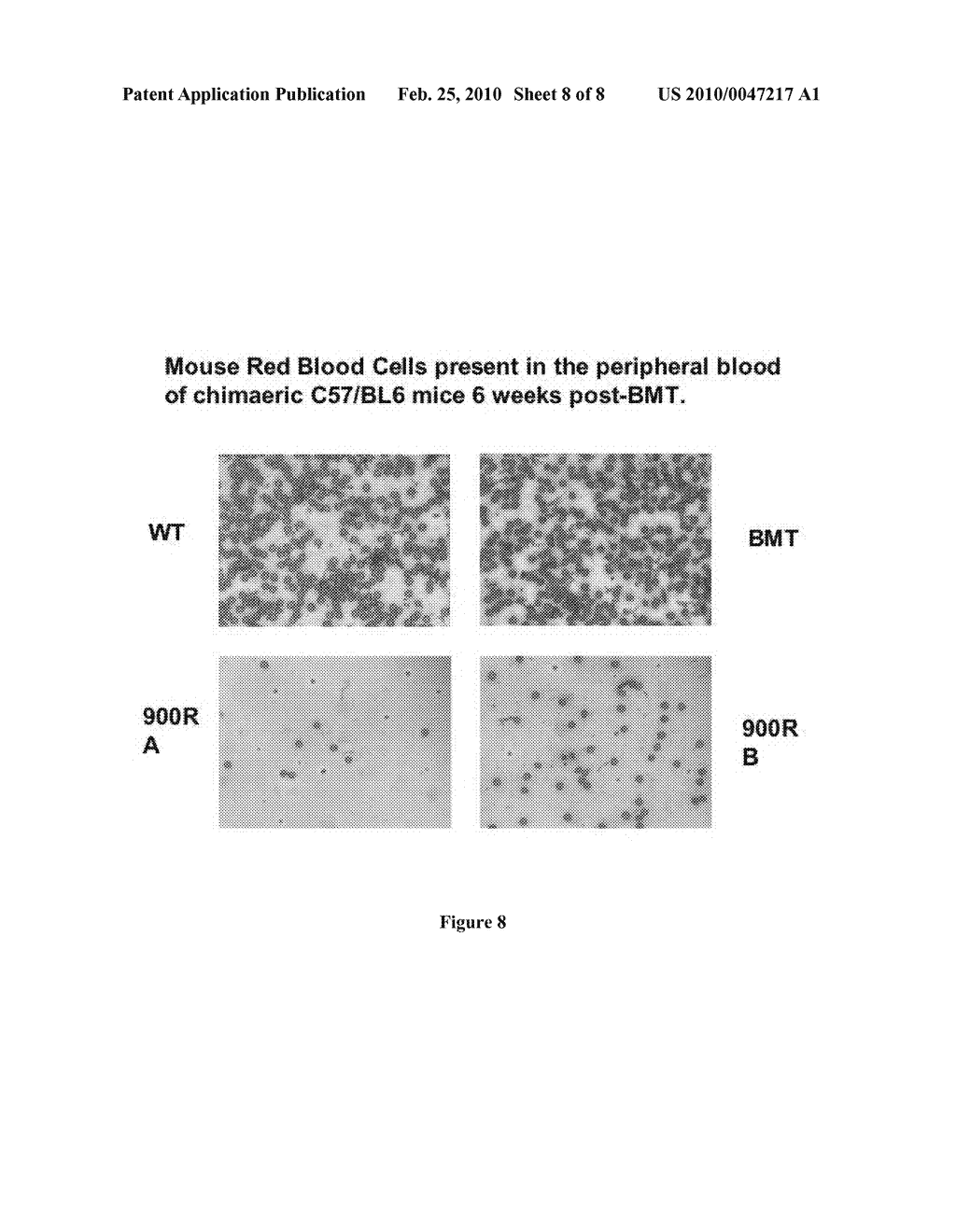 DIFFERENTIATED ANUCLEATED CELLS AND METHOD FOR PREPARING THE SAME - diagram, schematic, and image 09