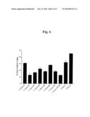 Nucleic acids and polypeptides of C1 bacteriophage and uses thereof diagram and image