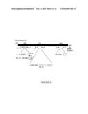 Metastasis specific splice variants of mena and uses thereof in diagnosis, prognosis and treatment of tumors diagram and image