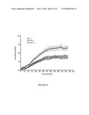 Metastasis specific splice variants of mena and uses thereof in diagnosis, prognosis and treatment of tumors diagram and image