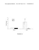 Metastasis specific splice variants of mena and uses thereof in diagnosis, prognosis and treatment of tumors diagram and image