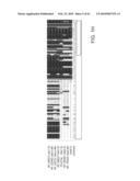 NOVEL ACTIVATION AND TRANSFER CASCADE FOR UBIQUITIN diagram and image