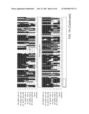 NOVEL ACTIVATION AND TRANSFER CASCADE FOR UBIQUITIN diagram and image