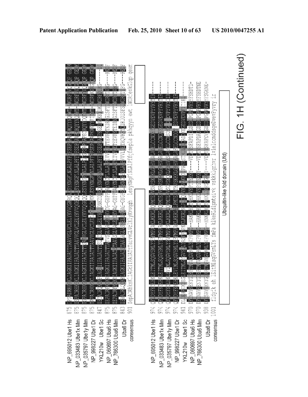 NOVEL ACTIVATION AND TRANSFER CASCADE FOR UBIQUITIN - diagram, schematic, and image 11