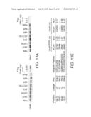 NOVEL ACTIVATION AND TRANSFER CASCADE FOR UBIQUITIN diagram and image