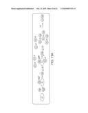 NOVEL ACTIVATION AND TRANSFER CASCADE FOR UBIQUITIN diagram and image