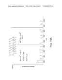 NOVEL ACTIVATION AND TRANSFER CASCADE FOR UBIQUITIN diagram and image