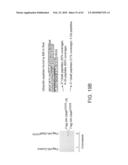 NOVEL ACTIVATION AND TRANSFER CASCADE FOR UBIQUITIN diagram and image