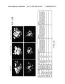 NOVEL ACTIVATION AND TRANSFER CASCADE FOR UBIQUITIN diagram and image