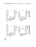 ANTAGONIST ANTIBODY FOR THE TREATMENT OF CANCER diagram and image