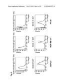 ANTAGONIST ANTIBODY FOR THE TREATMENT OF CANCER diagram and image