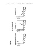 ANTAGONIST ANTIBODY FOR THE TREATMENT OF CANCER diagram and image