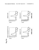 ANTAGONIST ANTIBODY FOR THE TREATMENT OF CANCER diagram and image