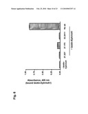 ANTAGONIST ANTIBODY FOR THE TREATMENT OF CANCER diagram and image