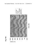 ANTAGONIST ANTIBODY FOR THE TREATMENT OF CANCER diagram and image