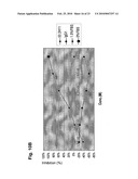 ANTAGONIST ANTIBODY FOR THE TREATMENT OF CANCER diagram and image